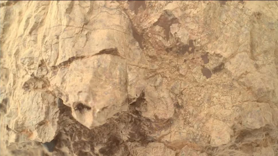 NASA зафіксувала на Марсі об’єкт, схожий на черепаху