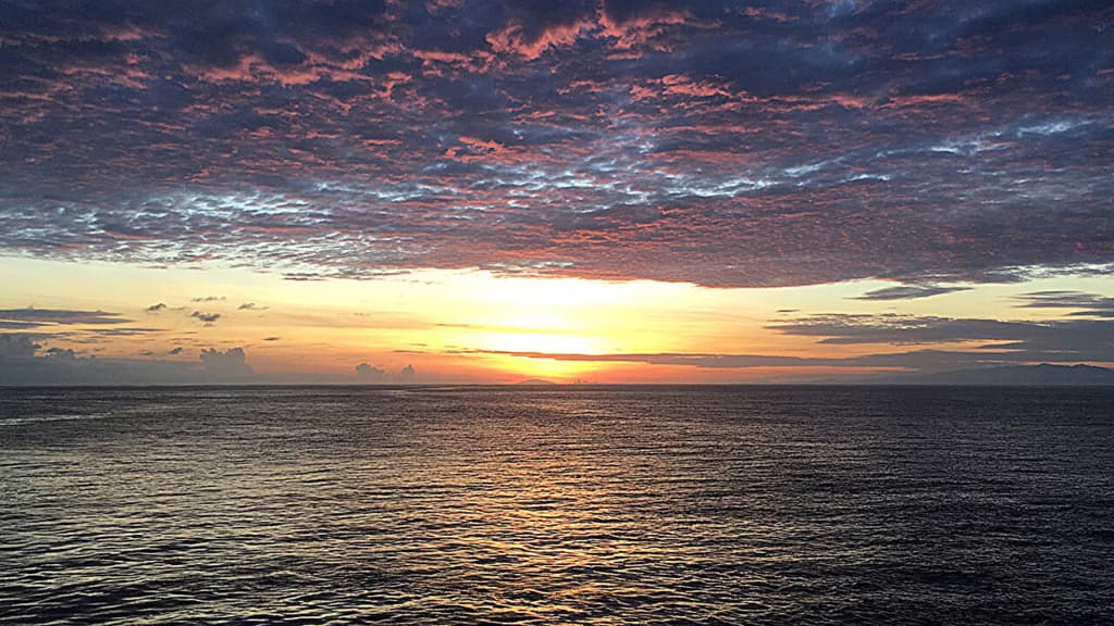 Як людські упередження століттями впливали на науку