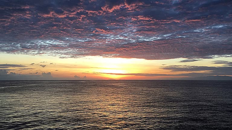 Парадокс клімату: чому деякі екосистеми виграють від змін довкілля