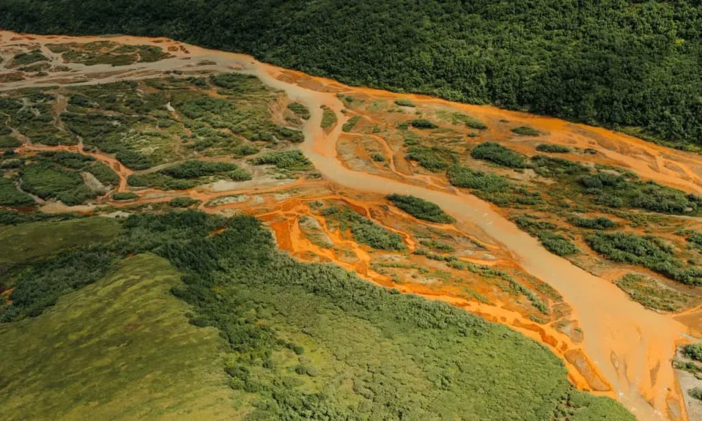Арктичні річки змінюють колір: вчені попереджають про небезпечні процеси