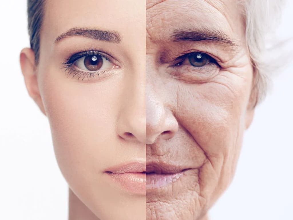 Вчені знайшли інгредієнт, який може омолодити обличчя