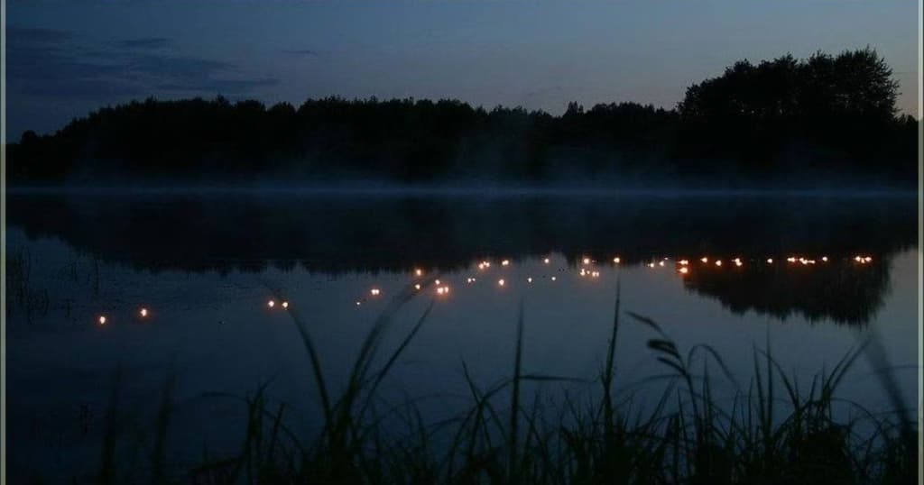 Вчені пояснили таємницю “блукаючих вогнів” на болотах