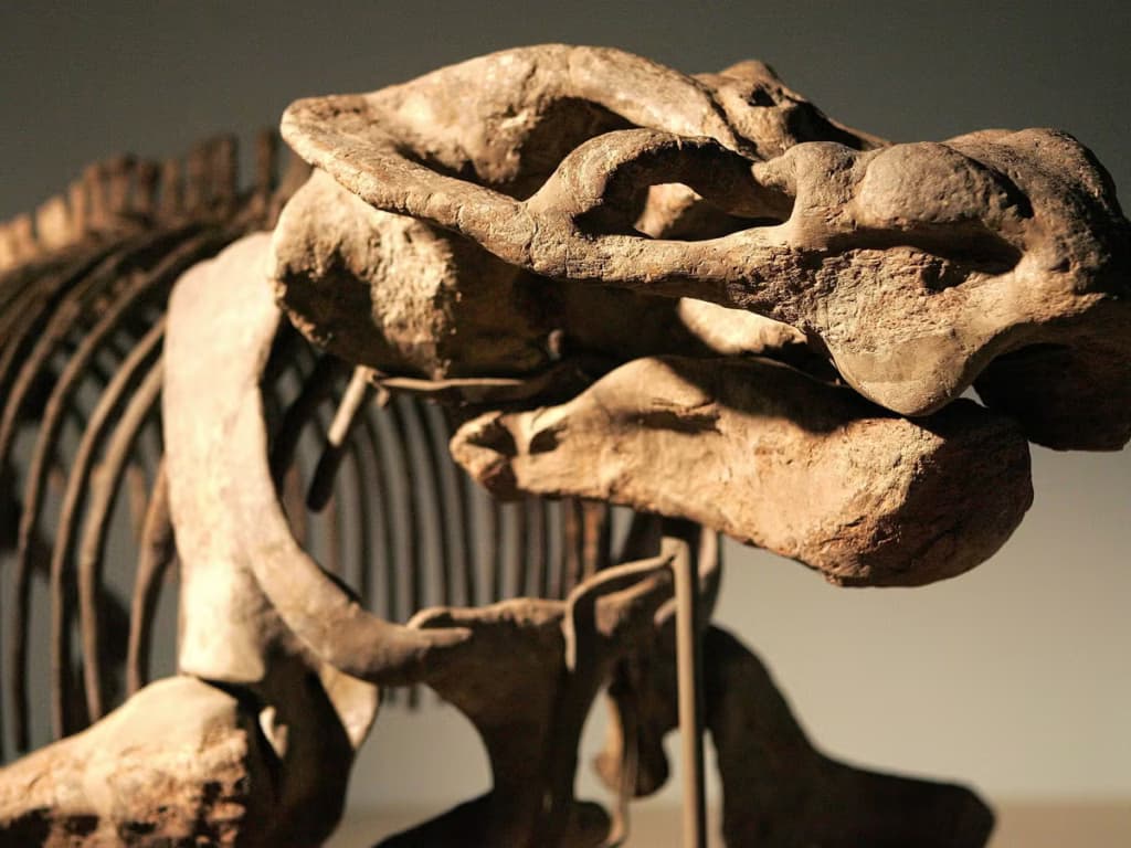 Вчені виявили малюнок, який може довести існування таємничої істоти