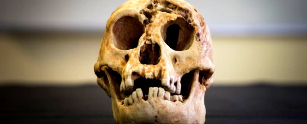 Вчені нарешті розкрили, чому «хоббіти» були такими маленькими