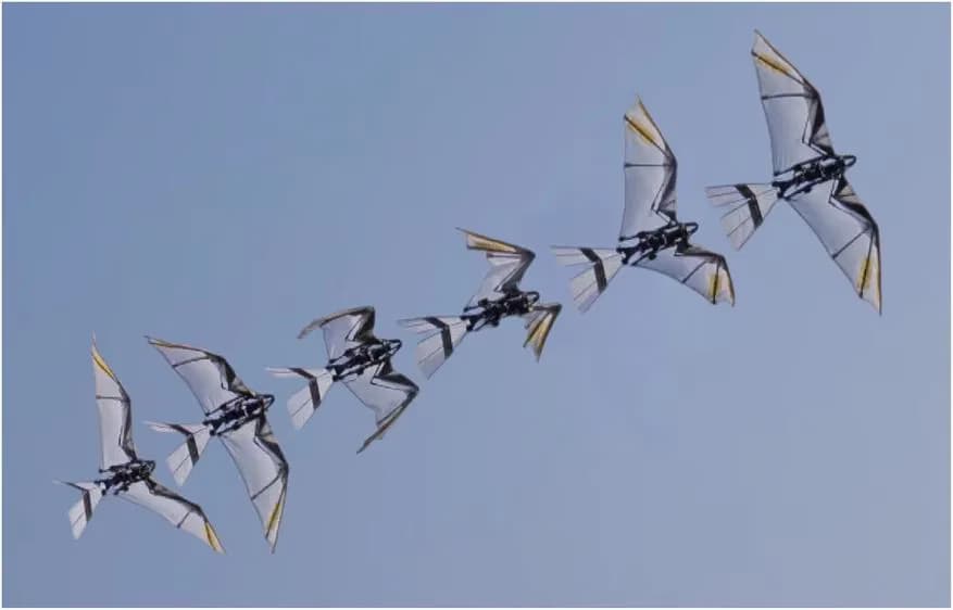 Фахівці створили робота-сокола із самостійним злетом