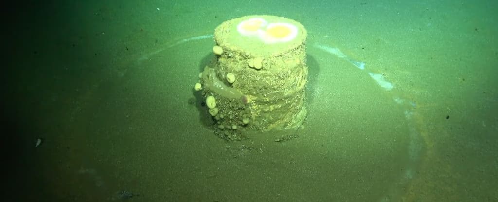 Загадкові кільця на дні океану виявили токсичну таємницю