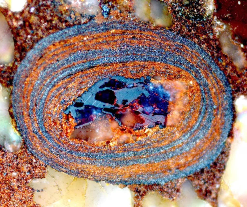 Крихітні камінці розкривають історію зародження життя на нашій планеті