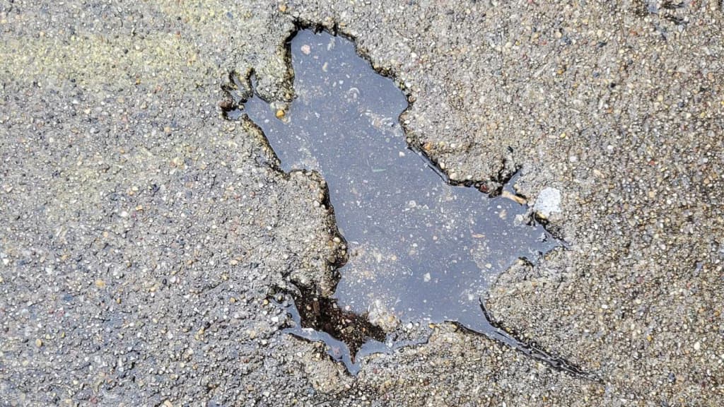 Вчені розгадали таємницю чиказької «щурячої нори»