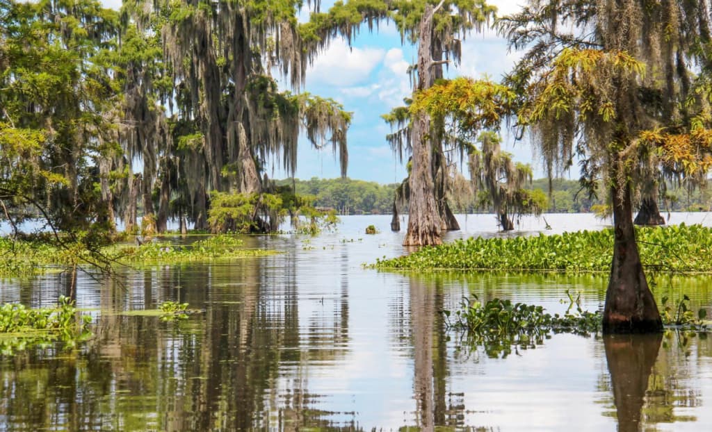 Вчені знайшли у болотах значно підступнішу загрозу