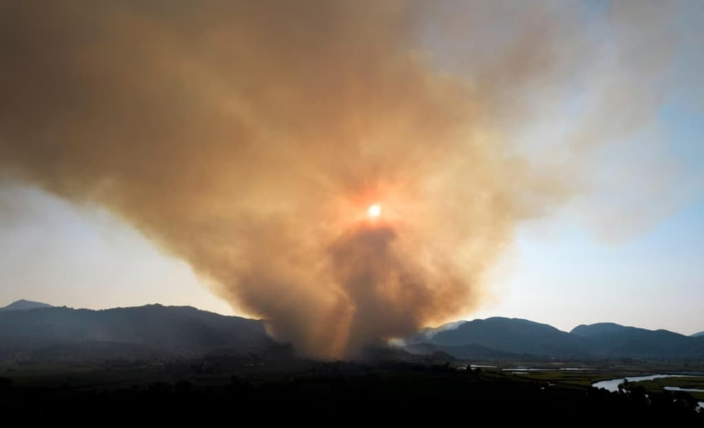 Сонячне світло перетворює дим від лісових пожеж на небезпечний токсичний туман