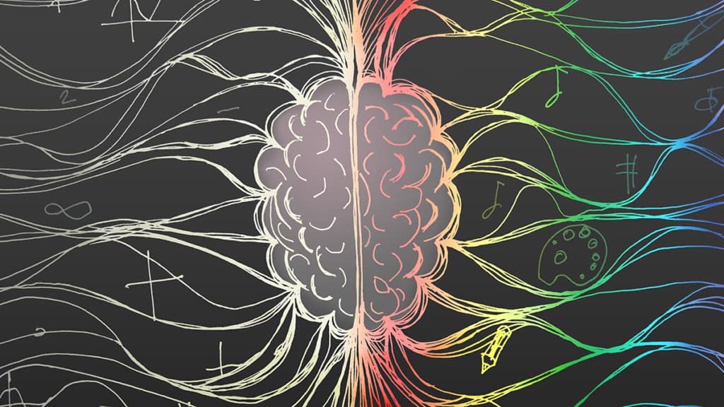 Вчені розкрили прихований зв’язок між мозком та кишківником