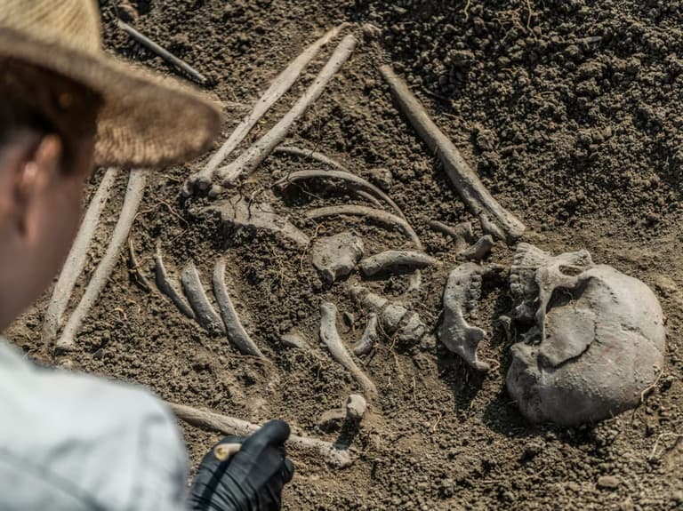 Вчені проаналізували останки віком 8500 років і виявили втрачену людську популяцію