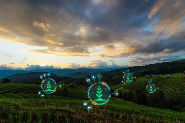 Вчені перетворюють харчові відходи на “золото” для аграріїв і медицини