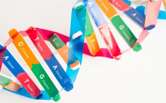 Прорив у медицині: з’явилася надія на терапію хвороби Гантінгтона