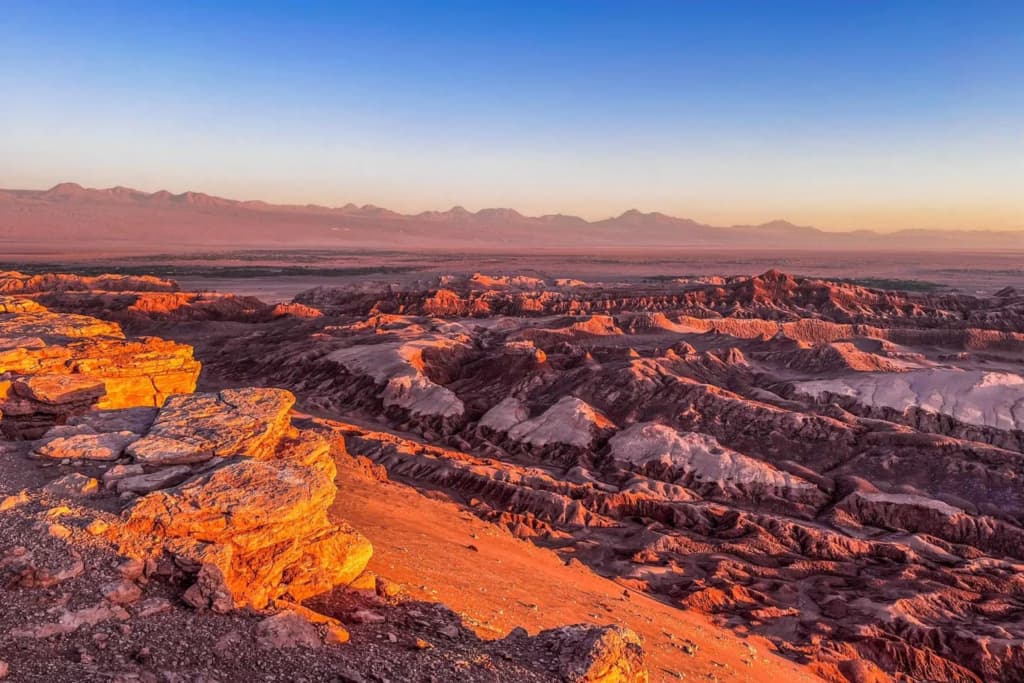 Приховане життя в найсухішій пустелі світу кидає виклик науці