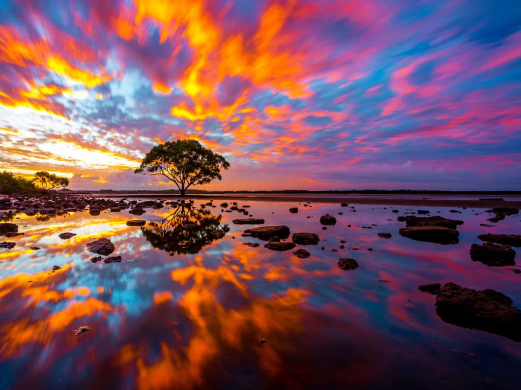 Вчені виявили першу гілку еволюційного Дерева життя