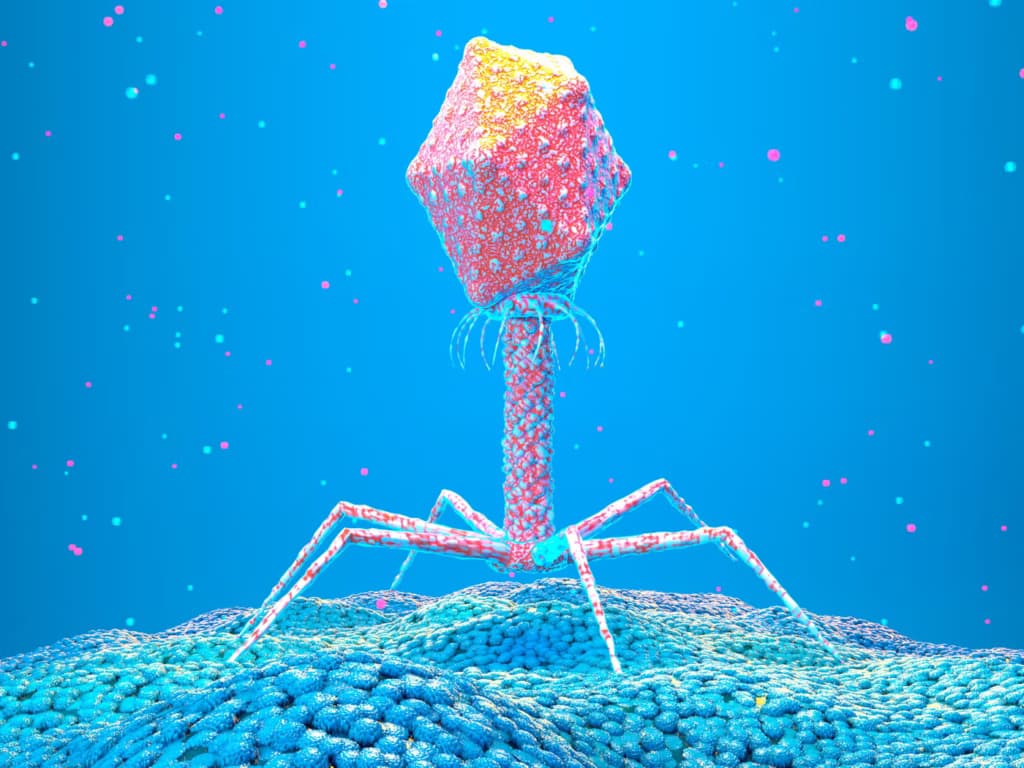 Сутності, які не підпадають під визначення життя, можуть рятувати людей