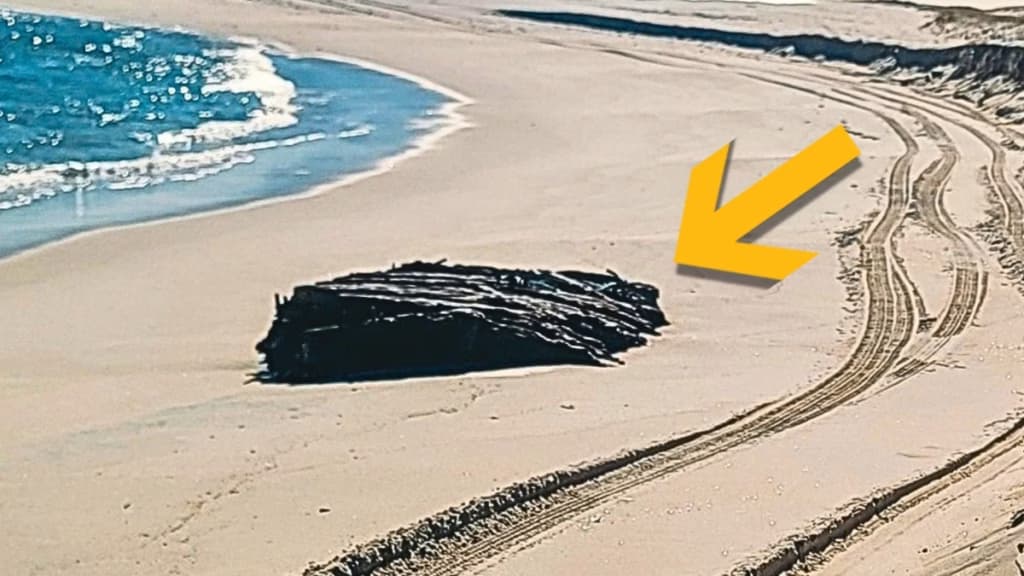 Потужні шторми розкрили таємницю мореплавства XIX століття на узбережжі Нью-Джерсі