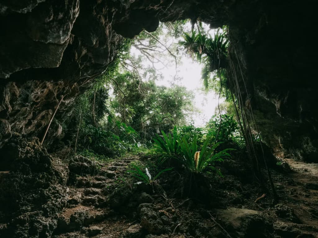 Вчені дослідили острівну печеру та знайшли рештки загубленого світу віком мільйон років