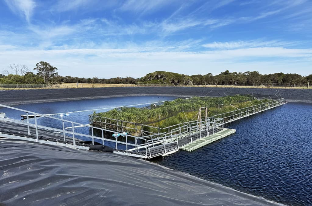 Вчені запропонували екологічне рішення для очищення стічних вод