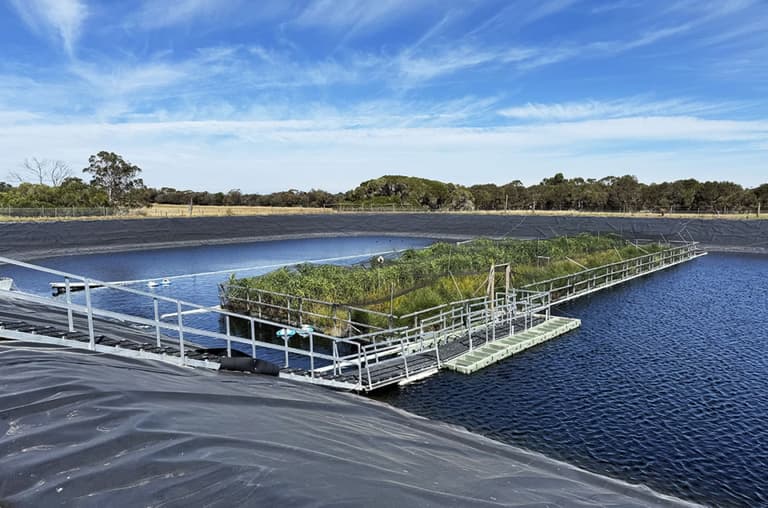 Вчені запропонували екологічне рішення для очищення стічних вод