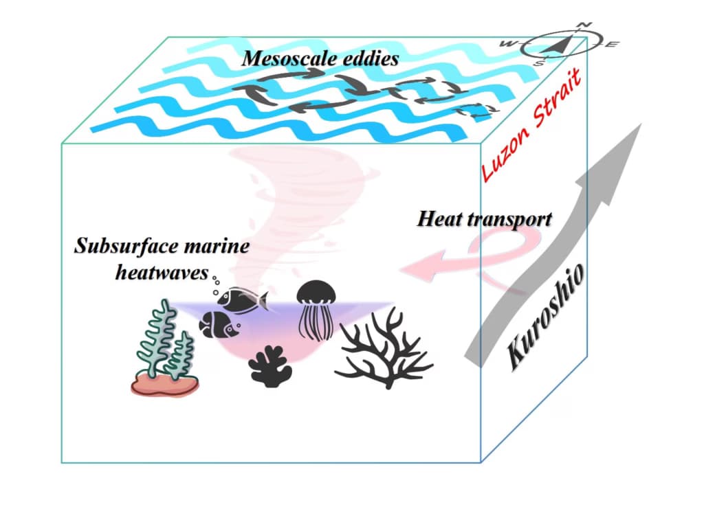 У Південно-Китайському морі виявлено підводні хвилі тепла, які руйнують екосистеми