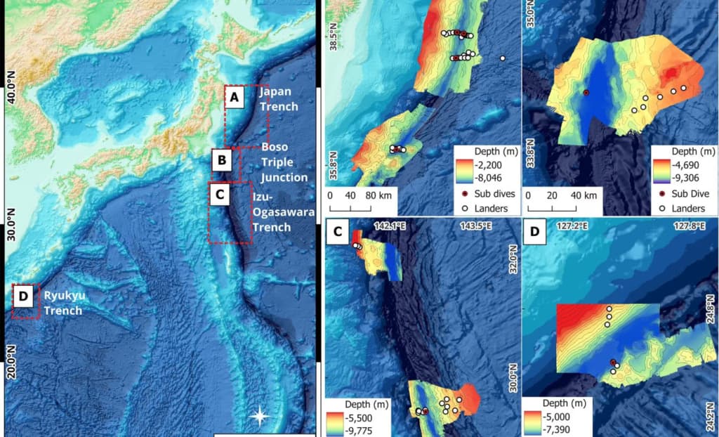 Вчені зафіксували невідомі організми в японських жолобах