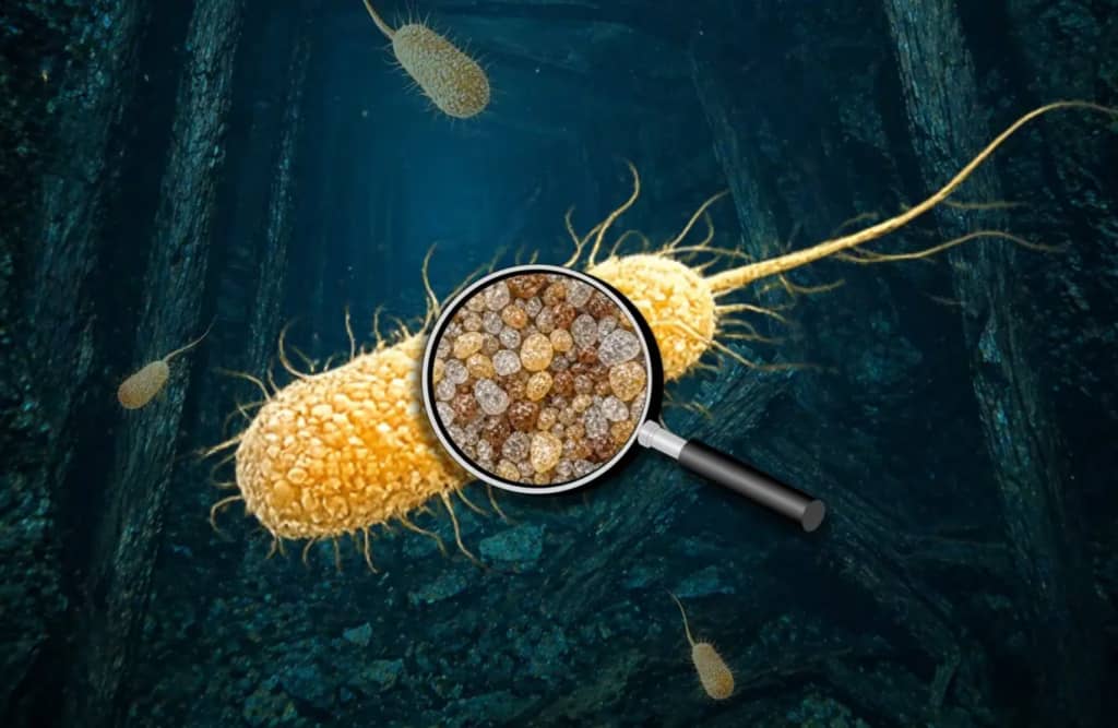 Вчені знайшли мікроорганізми, які видаляють до 95% урану із забрудненої води