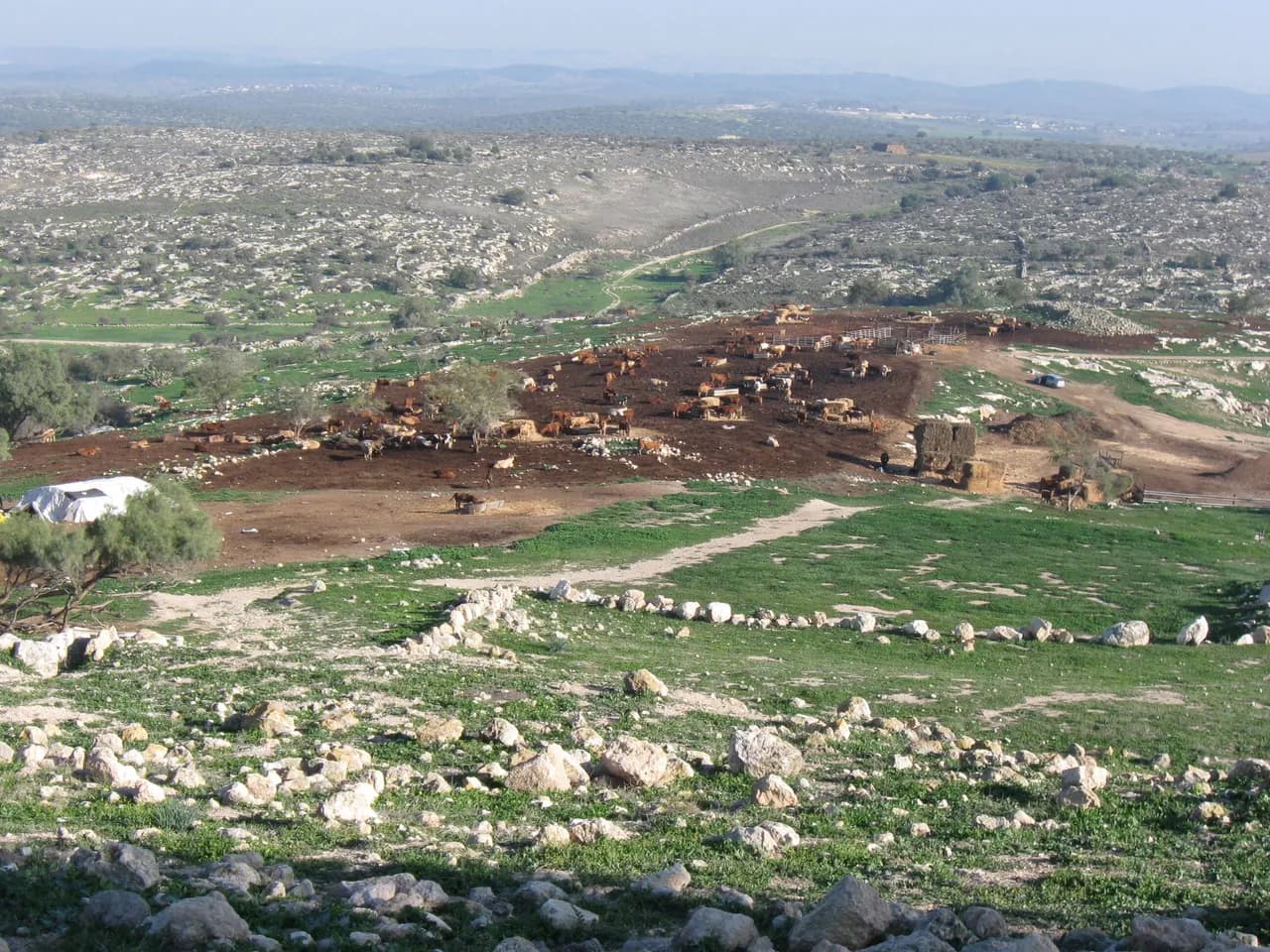 Археологам вдалося розгадати одну із загадок Біблії